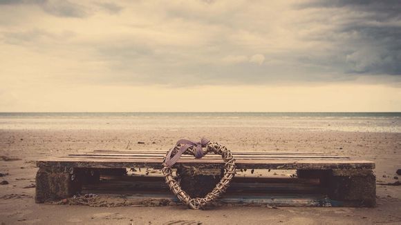 黑金诱惑多少钱