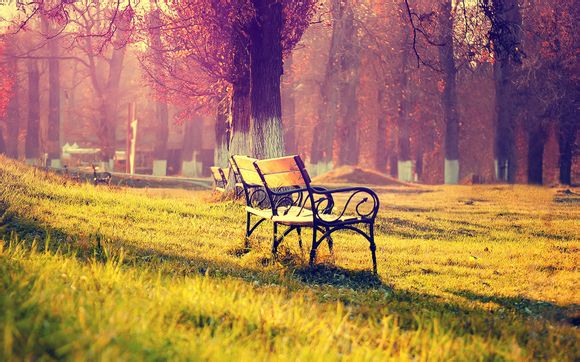 如何购买电话信息