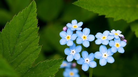 蓝牙数码音箱怎么使用