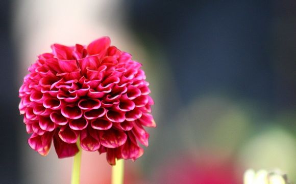 美典吸尘器怎么样