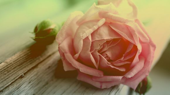 中信和广发哪个好