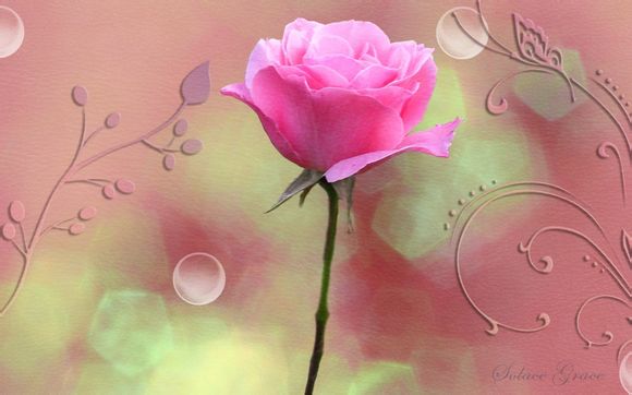 瘦身战争为什么玩不了