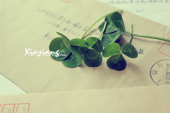 电视盒哪个品牌好