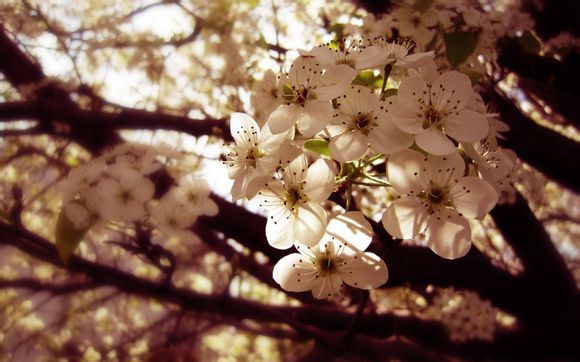 怎么才能盗取别人微信