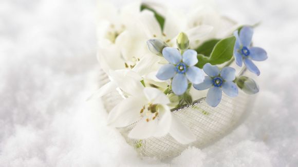 萨满祭司清场牌哪个