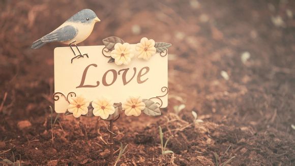 roland和line哪个好