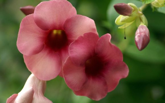 2017哪个城市下暴雨