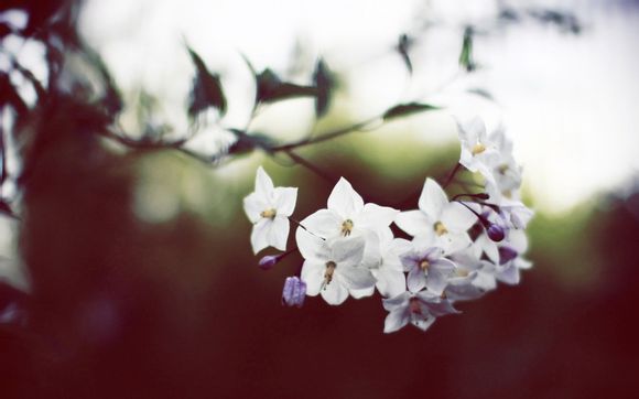 三洋洗衣机电机多少钱