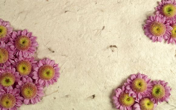 mfc如何定时发送