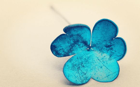 哪个版本的金庸全集