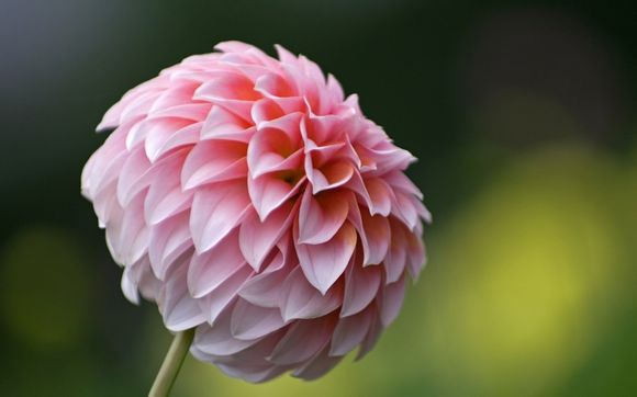 中山哪里有卖游戏机的