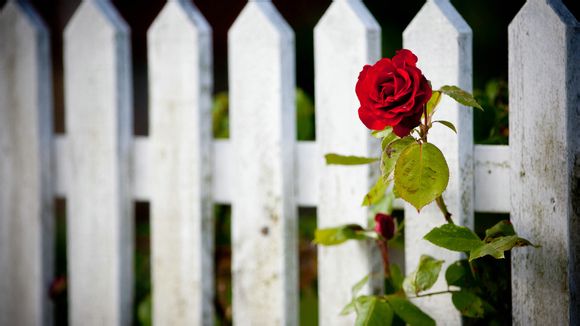 昆明童车批发在哪里