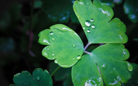 第一名的英文怎么说