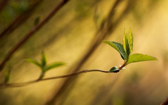 qq牧场养什么最挣钱