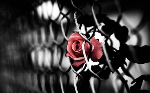 保定少爷哪里好