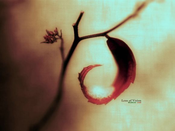 vip卡圆角半径多少