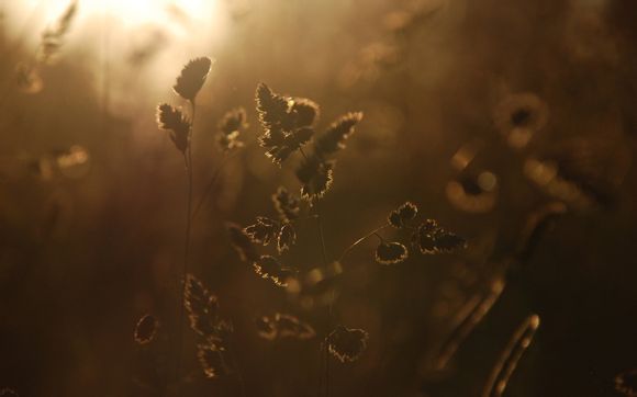 互联网装修哪个靠谱