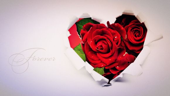 什么是手机发烧友