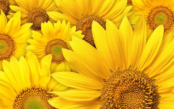 筑波大学在哪里