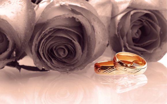 横向发展什么意思