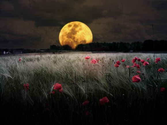 登记照像素尺寸是多少