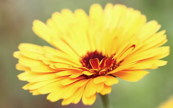 检测不到sd卡怎么办