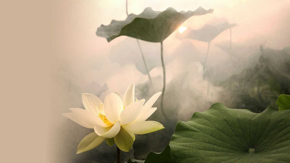 黄龄许嵩为什么分手