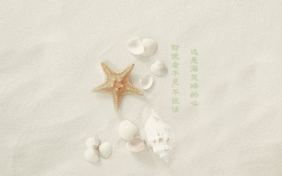 五粮液普五一瓶多少钱