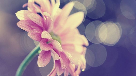 农业银行卡如何开通网银